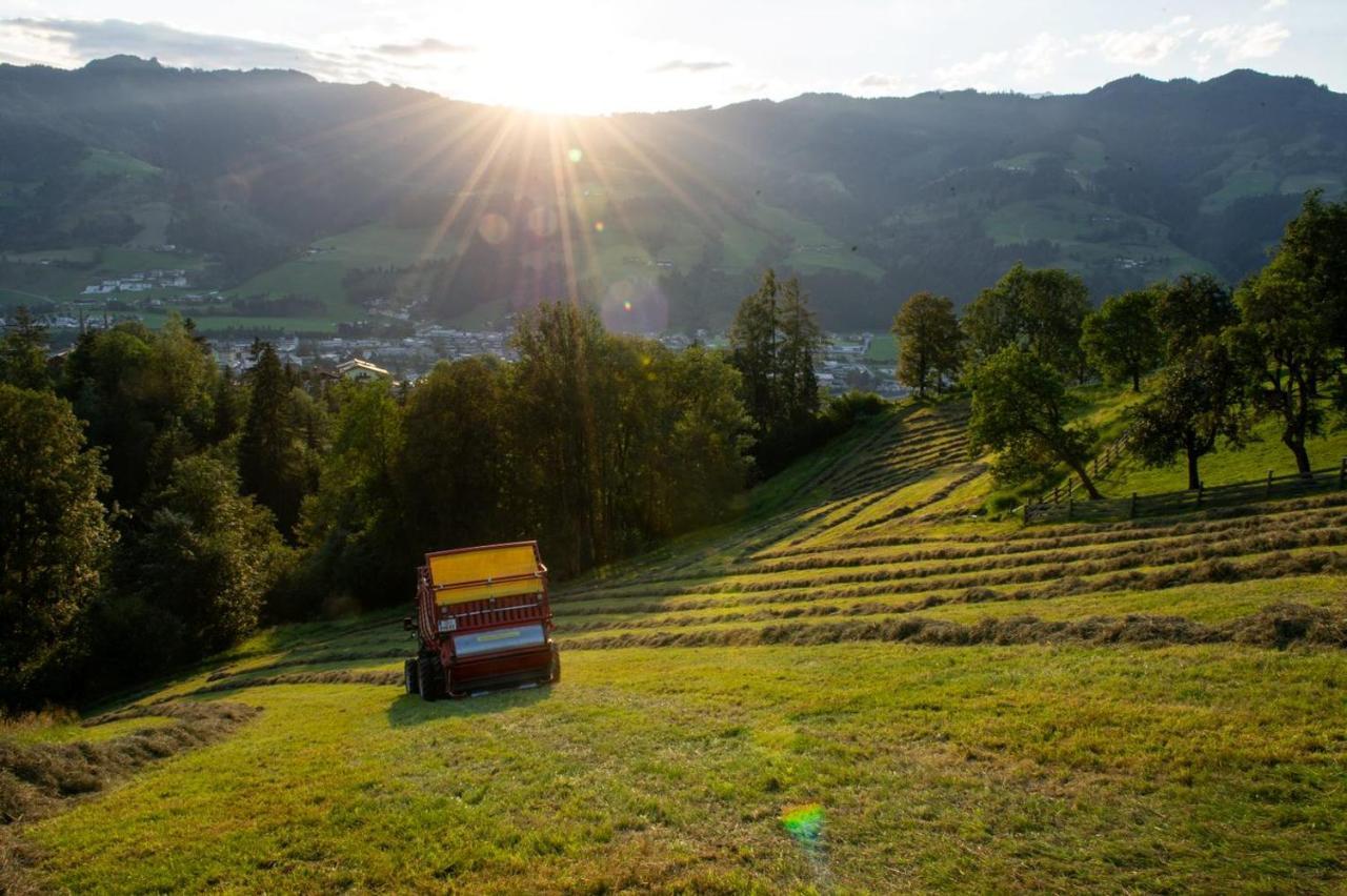 Appartements Lehenhof Sankt Johann im Pongau Eksteriør bilde