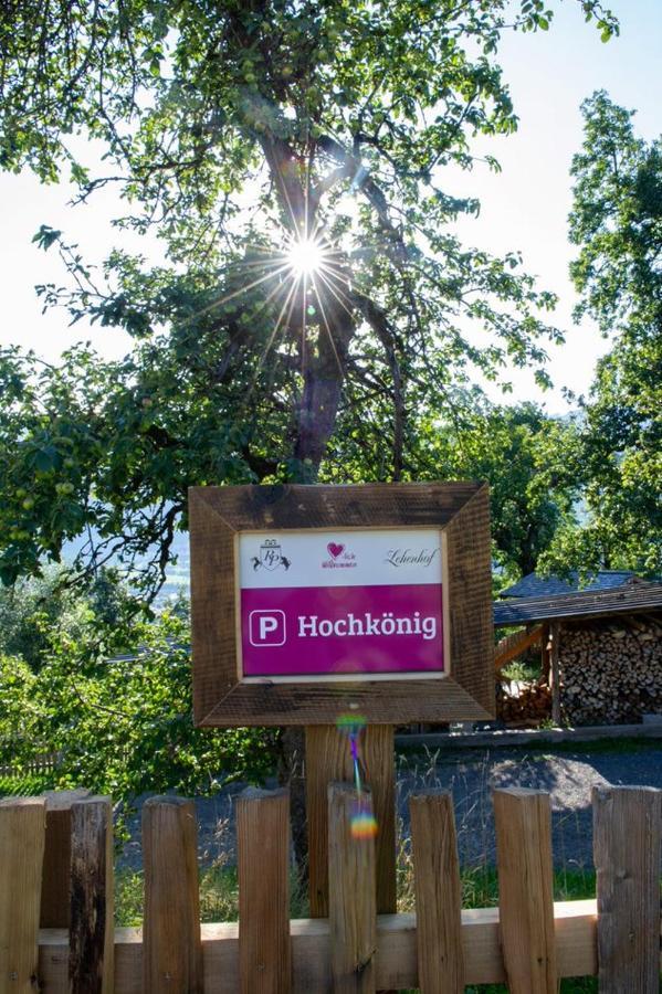 Appartements Lehenhof Sankt Johann im Pongau Eksteriør bilde